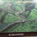 대전 장태산 자연휴양림 이미지
