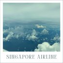 공주시청 | [프랑스 여행] 싱가폴항공 싱가폴 경유 이코노미 후기 (인천 -> 싱가폴, 보잉787-10)