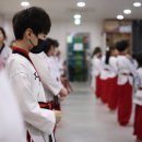 고려용호태권도 이미지