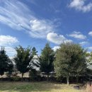 곱닥한가 이미지