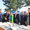 완도 법화사지 이미지