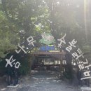 참나무숯불사우나 이미지