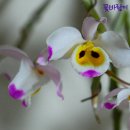 대포초등학교 이미지