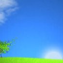 산들바람 이미지