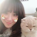 모멜로