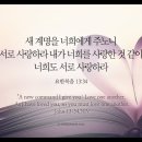 오늘의 &#39;영어성경 사진&#39;(323강) “서로 사랑해라”(요한복음 13장 34절) 이미지