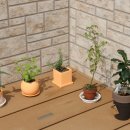 성사고등학교 이미지