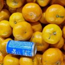 보내농장 이미지