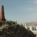 진용목장 Daum카페