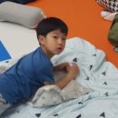 힘찬나래 국제 태권도장 이미지