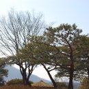 서원농원 - 영천시 추곡길 56 | 서원농원