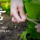 국립농산물품질관리원지원익산사무소 이미지