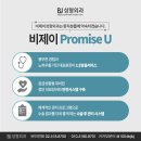 비제이트랜드