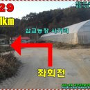 자포농장 Daum카페