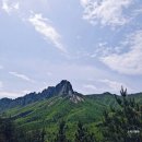 앵초 - 안양시 만안구 만안로 231 | 숲속 힐링 용대자연휴양림 연립동 앵초 숙소 후기