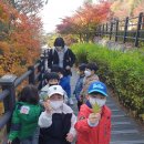 중곡샛별어린이집 이미지