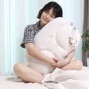 슬립앤라이프 | 슬립앤슬립 아이유 깊은잠베개 경추베개 S M 높이 선택 팁과 솔직한 사용후기