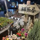 참고기 | 의정부 애견동반 참숯불구이 고기전문 [해뜨루 ]내돈내산 후기