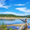 세영자동차정비 - 북구 비엔날레로 181-1 | 영주 세영리첼아파트까지 김해공항콜택시 착한요금