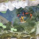 자연과인간사이 이미지