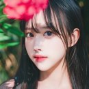 아리아유통 이미지