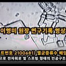 이영미 원장 연구기록 : 모더나(로트번호 2100681) 멸균증류수 배양 70일(24. 08. 31) 이미지