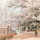 매화휘트니스 이미지