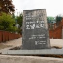 까사스테이 | 파주펜션 까사구스토, 둘만의 아늑한 힐링 스테이 후기