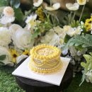 디어 마이 독(Dear my dog) 이미지