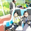 정무태권도장 이미지