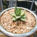 우암농장 이미지