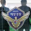 보보나인