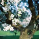 모월모일 이미지