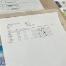 성남동물병원 | 성남 동물병원 강아지 방광결석 수술 후기, 2주 회복 과정