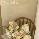 블룸더소브니