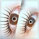 다인채널 | 대박 사건! 내 눈이 달라졌다?! 뷰티다인 솔직 후기