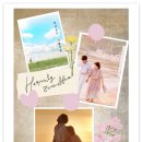 💌유튜브 Heavenly Ever After (천국보다아름다운) 음원영상 800만뷰 축하합니다🎉🎉 이미지