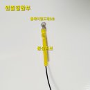 박꾼