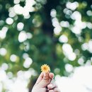 착한바보 이미지