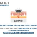 코스모스뷰티
