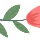 전라도미가 이미지