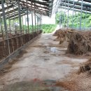 옥천2호 태양광발전소 이미지