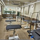 대한동물병원(출장전문) 이미지