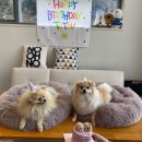 두치네민박 이미지