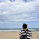 연안이씨 열녀비 | [씨:큐리티 서포터즈] 바다에 쓰레기 버린 너님도...포항 도구해수욕장⛱️ 3회차 연안정화의 날 정화활동