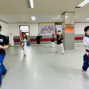 서진태권도 이미지