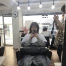 마가염색 이미지