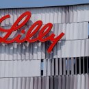 메디칼릴리 이미지