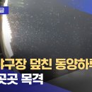 서울에 하루살이때문에날리라는데... 이미지