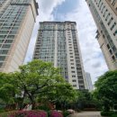 서울라파치과의원 이미지